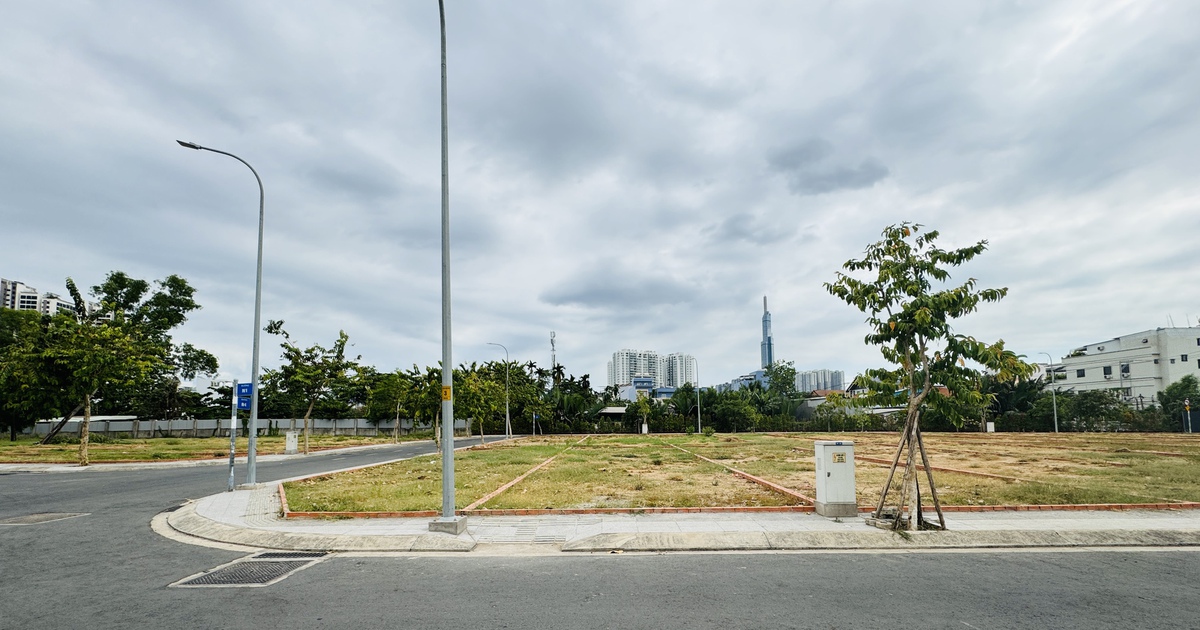 TP.HCM: Dự kiến diện tích tối thiểu được tách thửa là 36 m2, cao nhất 100 m2