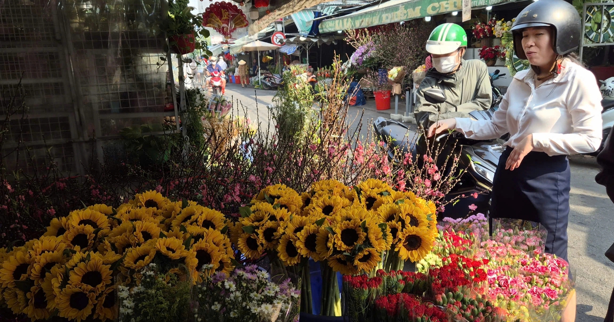 Nhộn nhịp hoa tết, phố xá thêm sắc màu