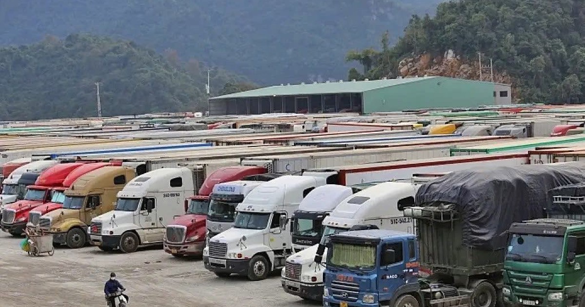 Chính phủ tạm dừng Nghị định 46 đến hết ngày 15.4