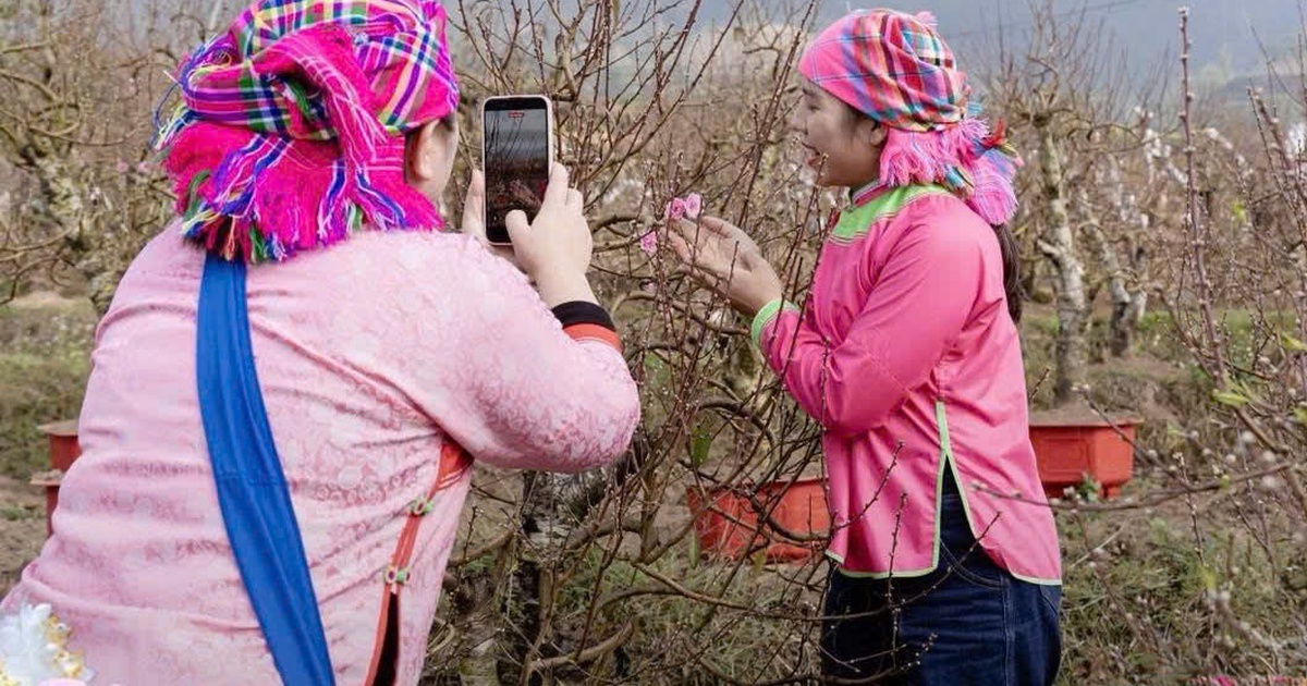 Đào Lai Châu lên sóng livestream, giá tiền triệu 'nổ' đơn ầm ầm