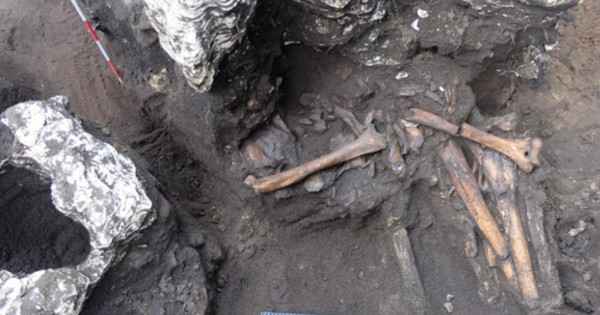 Xác ướp hun khói tại Việt Nam - phát hiện khảo cổ học thế giới