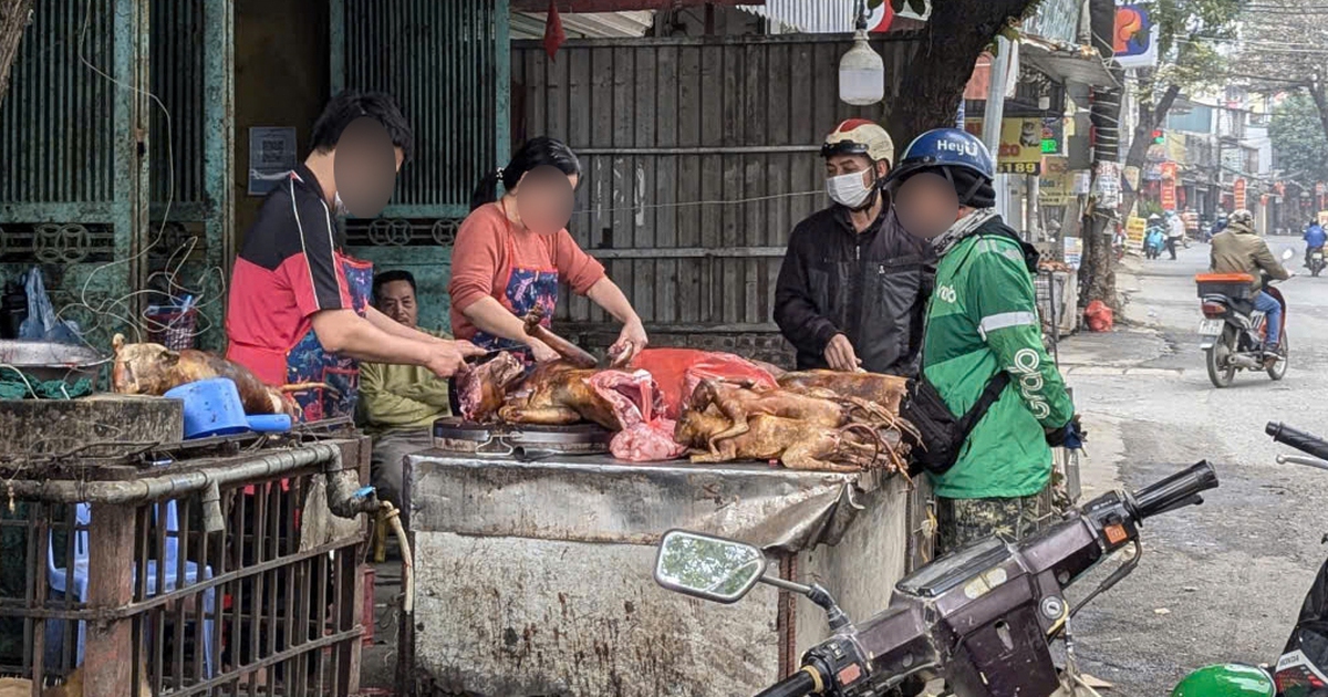 'Phố thịt chó' duy nhất còn lại ở Hà Nội giờ ra sao?