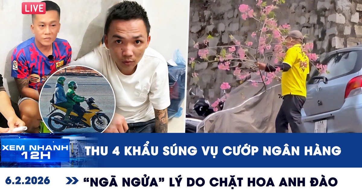 Xem nhanh 12h: Thu 4 khẩu súng vụ cướp ngân hàng ở Gia Lai | 'Ngã ngửa' lý do chặt hoa anh đào