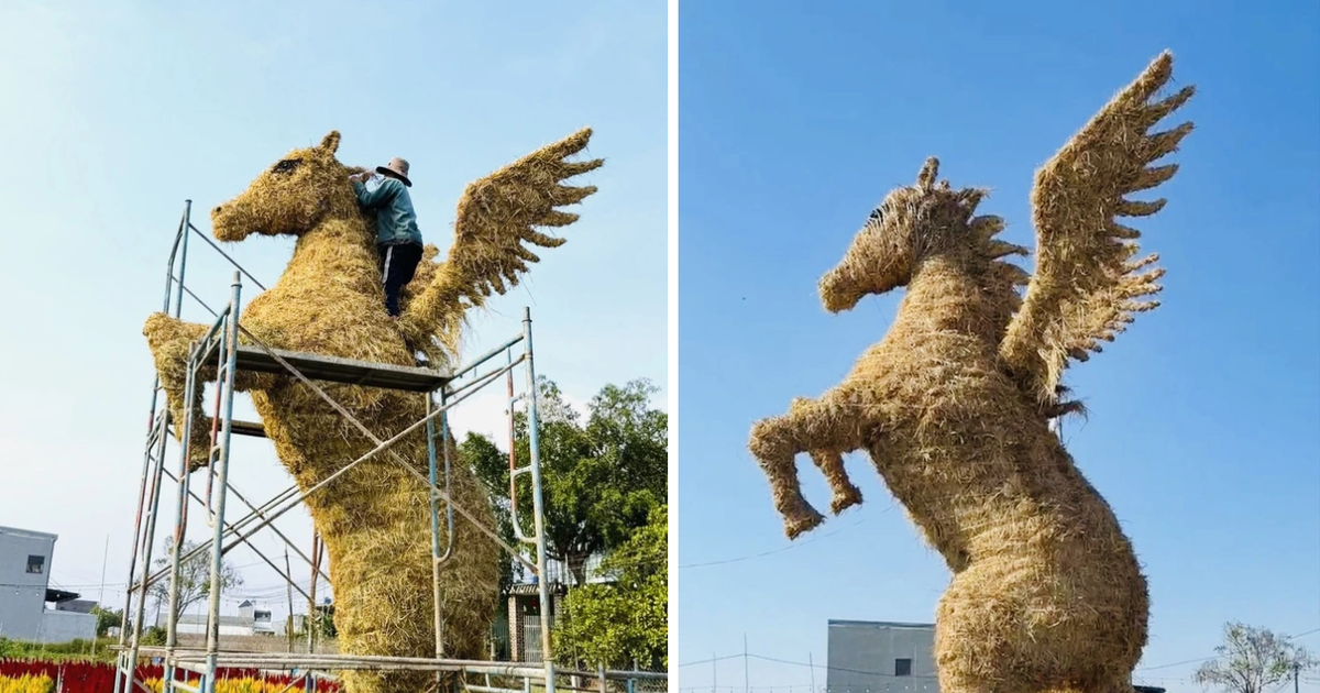 Bỏ 10 triệu dựng linh vật ngựa rơm, chủ vườn mời chụp ảnh tết miễn phí