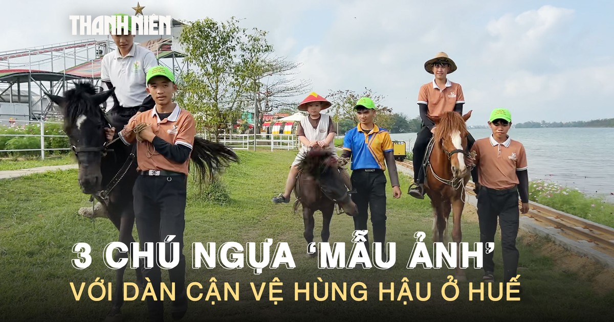 Chuyện 3 chú ngựa ‘mẫu ảnh’ ăn uống sang chảnh với dàn cận vệ hùng hậu ở Huế