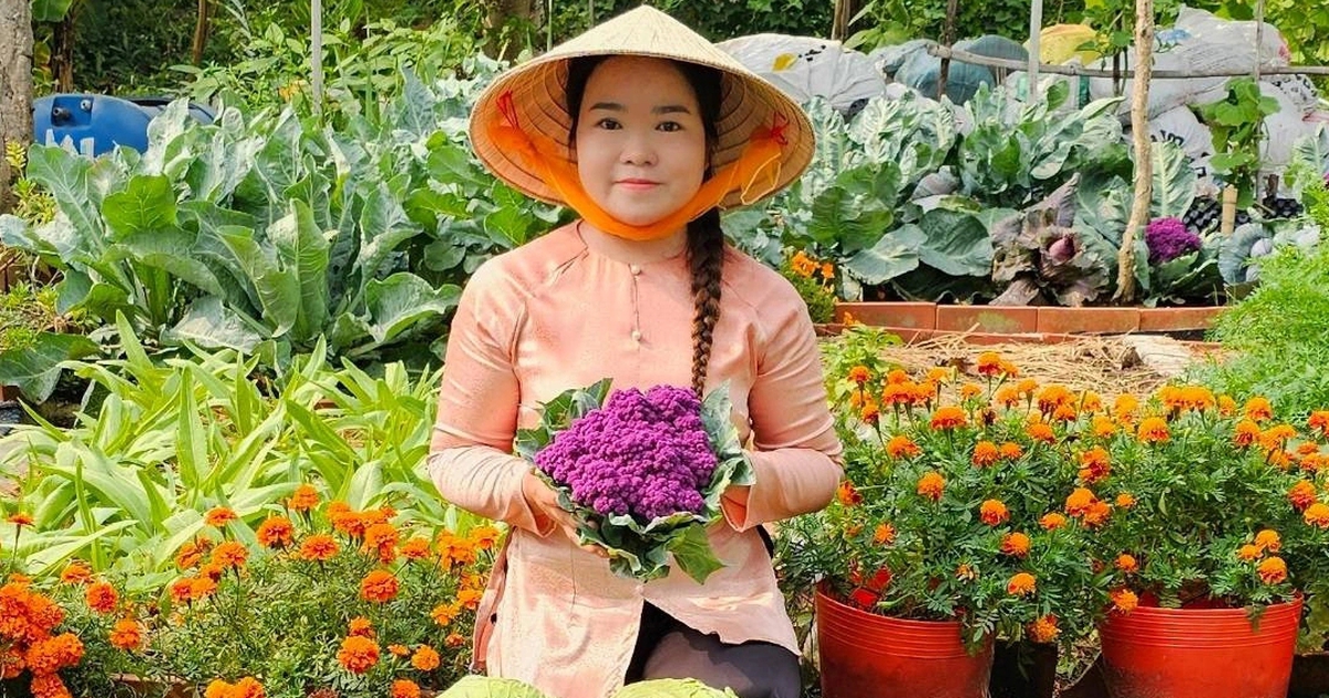 Vườn rau xanh mướt, rực rỡ sắc hoa trong lòng thành phố