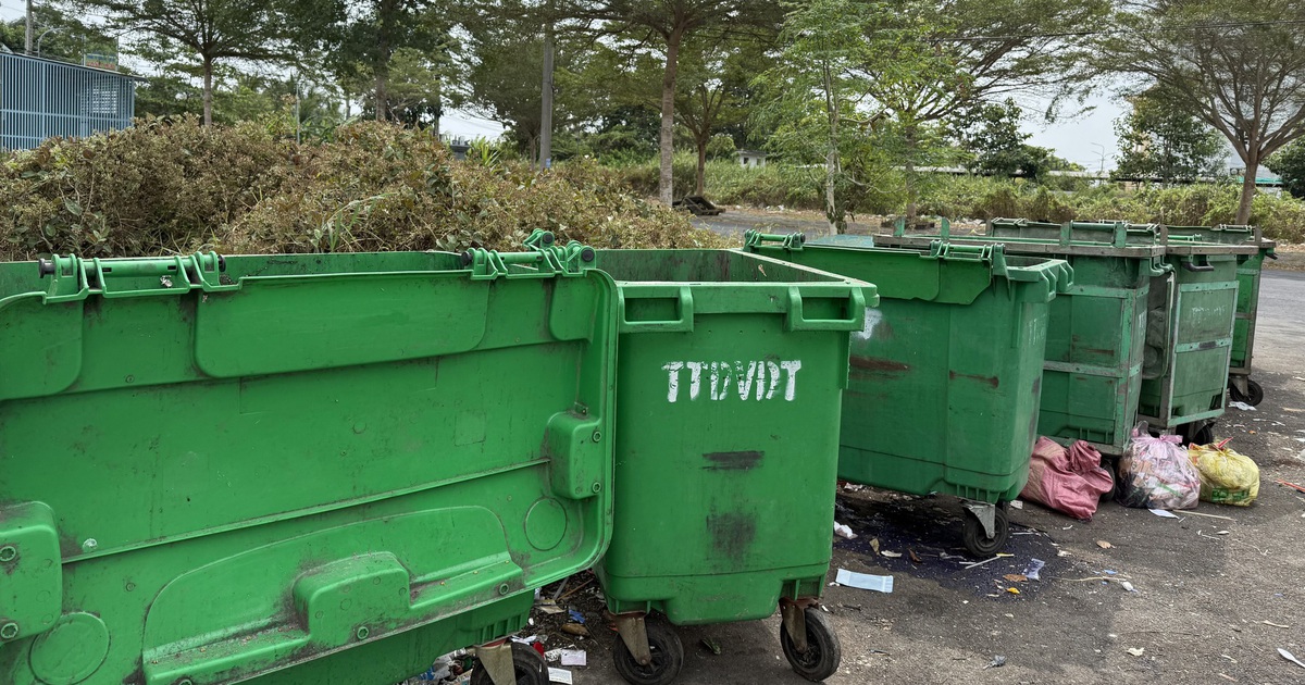 3 phường ở Cà Mau ngưng gom rác 3 ngày tết: Có lo ứ rác, ô nhiễm?