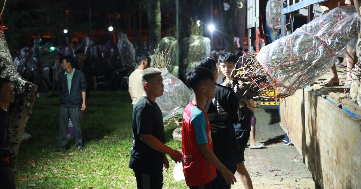 0 giờ ở chợ hoa tết công viên Gia Định vẫn có người ghé mua