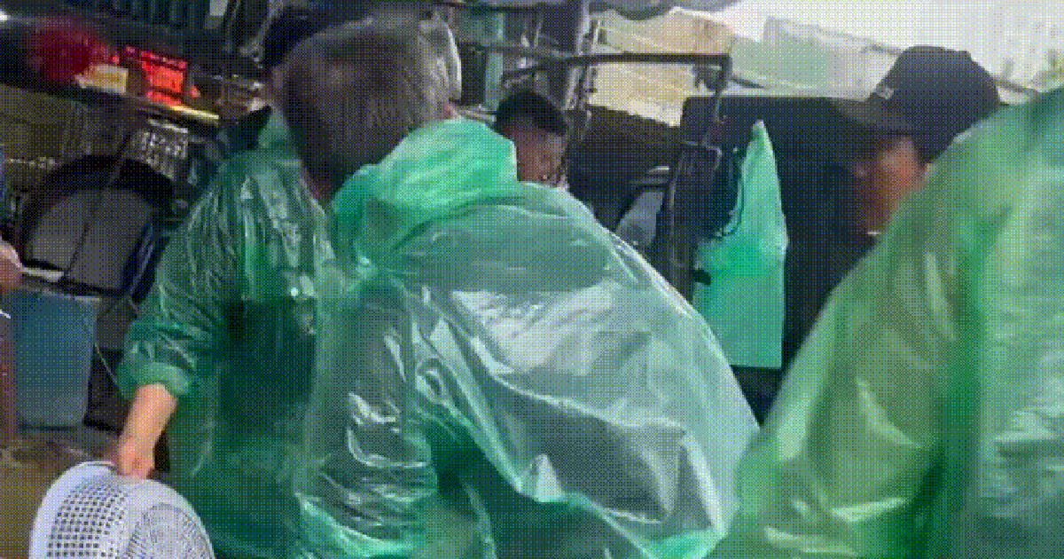 Giá cá chép đỏ giảm sâu, lái buôn đổ cá khách chọn lại chậu, quyết không bán rẻ