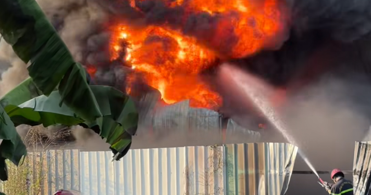 Cháy kho tập kết phế liệu không phép ở Củ Chi, lửa tái bùng phát rạng sáng