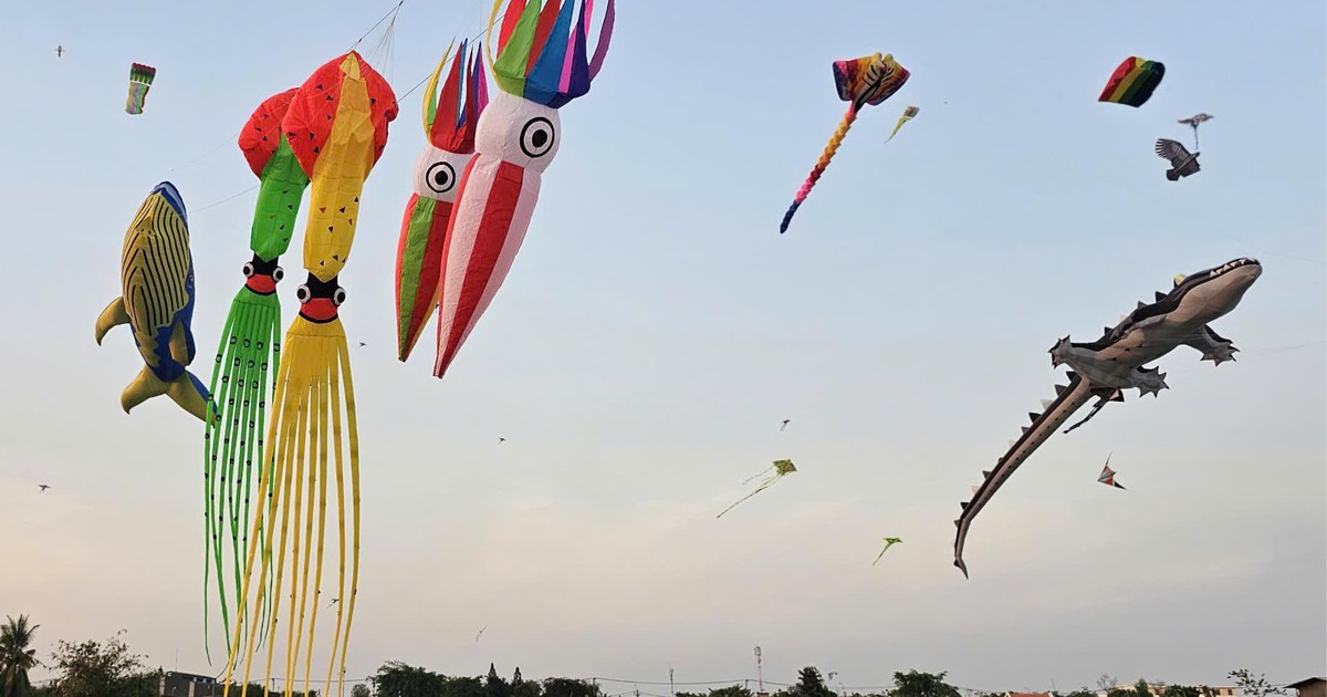 Cánh đồng ngoại ô TP.HCM cuối tuần rợp trời diều khổng lồ