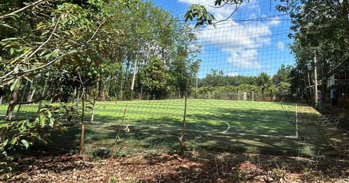 Điều tra 2 vụ nghi bị điện giật khiến 2 người tử vong ở Đồng Nai