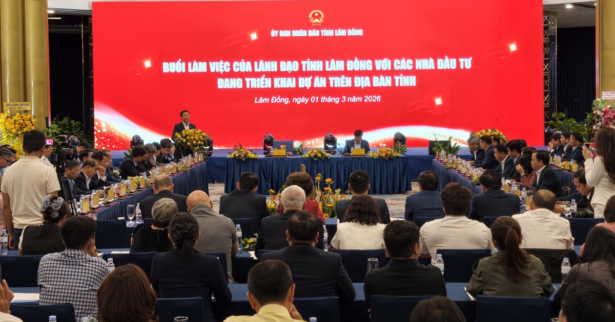 Lâm Đồng họp bàn 'giải cứu' 359 dự án đình trệ