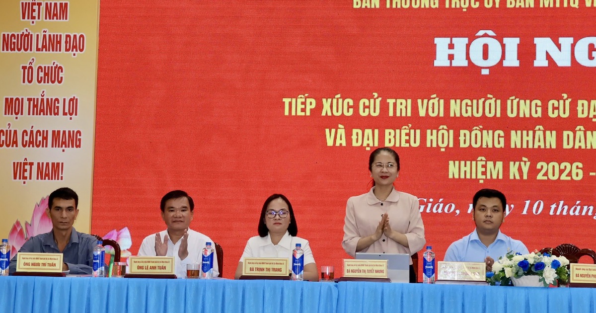 Cử tri TP.HCM đề nghị quan tâm vùng nông thôn, an toàn không gian mạng