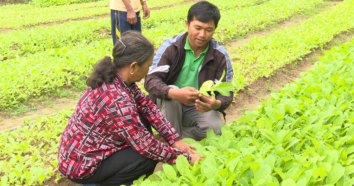 Trăn trở của cử tri và điểm sáng từ sự tiên phong của thanh niên