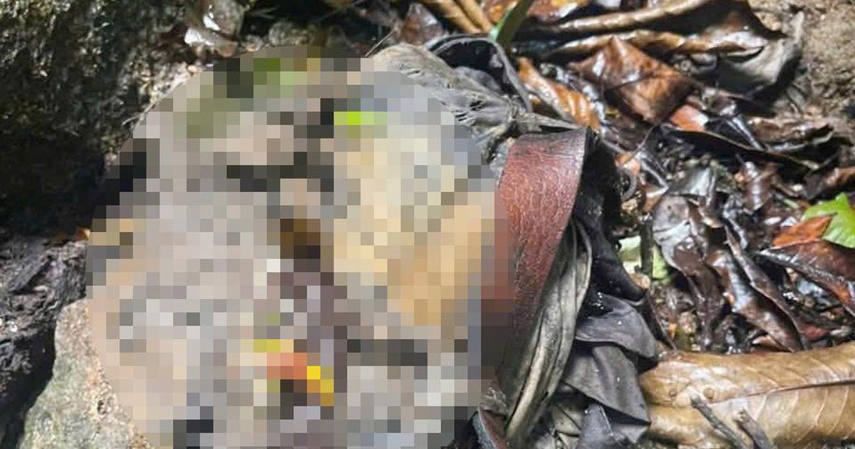 Phát hiện bộ xương người tại bìa rừng, nghi đã tử vong nhiều tháng