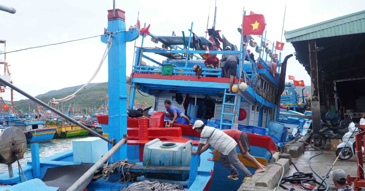 Ngư dân nỗ lực vượt khó