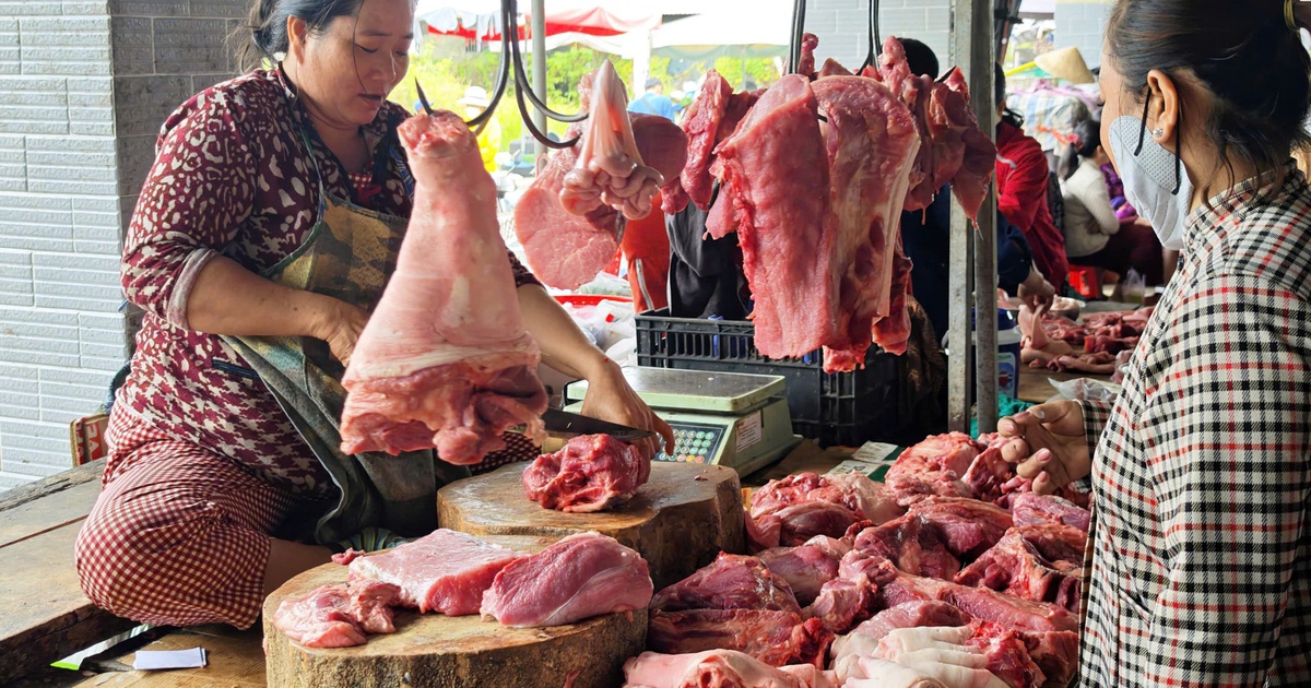 Giá heo hơi hôm nay 11.3.2026: Đà giảm chưa dứt