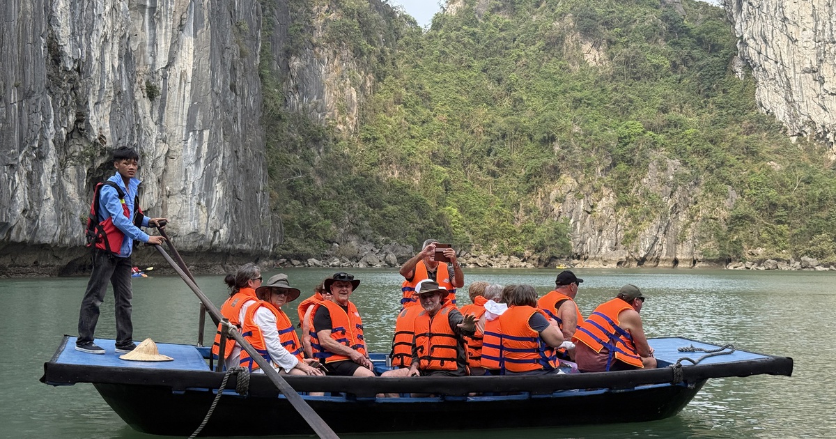 Quảng Ninh: Nhiều tuyến tàu cao tốc tăng giá vé