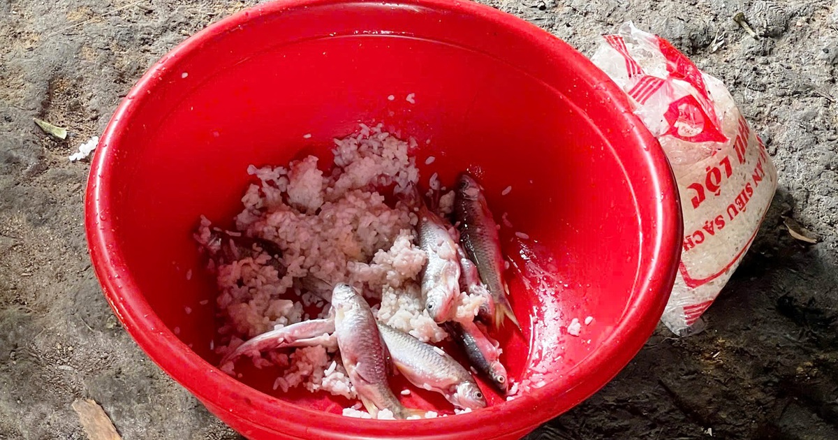 Khẩn cấp đưa thuốc giải Botulinum từ Thụy Sĩ về cứu 3 bệnh nhi đang nguy kịch