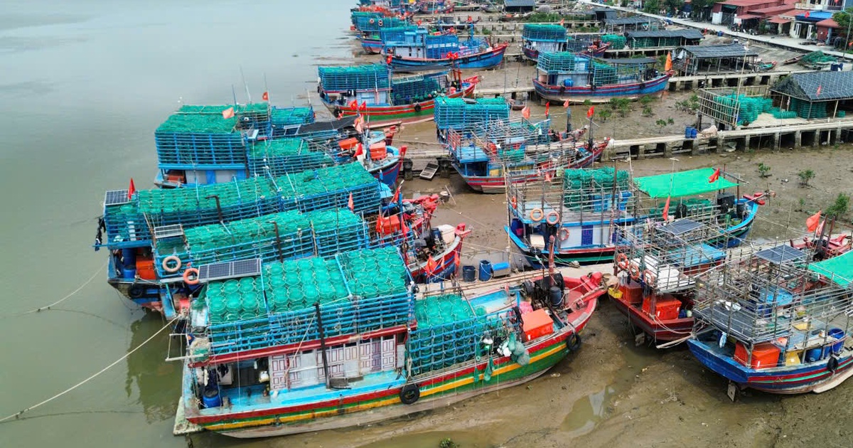 Ngư dân Thanh Hóa lao đao vì giá dầu tăng cao