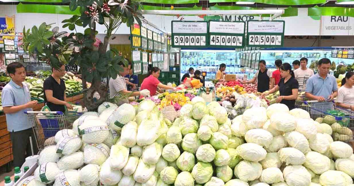 Tin tức đặc biệt trên báo in Thanh Niên 14.3.2026