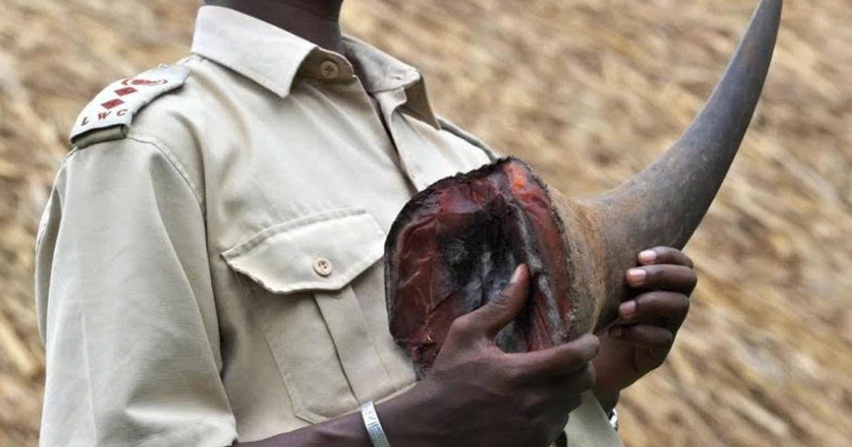 'Đại gia kim cương' Chu Đăng Khoa bị bắt tại Nam Phi