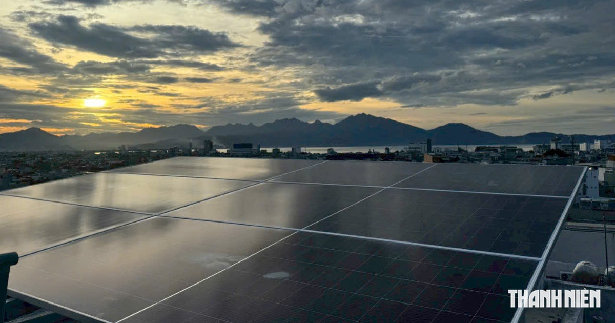 Những đường kẻ trên tấm pin mặt trời không chỉ để trang trí