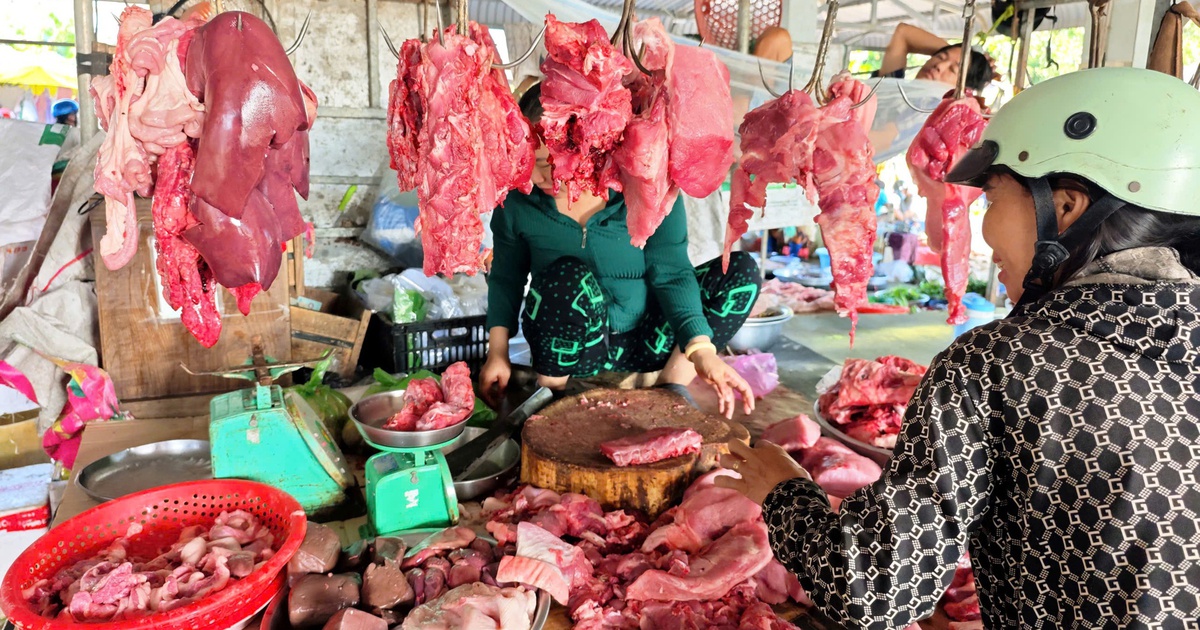 Giá heo hơi hôm nay 13.3.2026: Tiếp tục giảm nhẹ