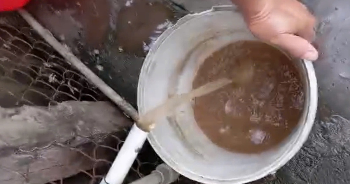 Vụ nước sinh hoạt ở Đồng Tháp đục ngầu: Chính quyền xã báo cáo gì?