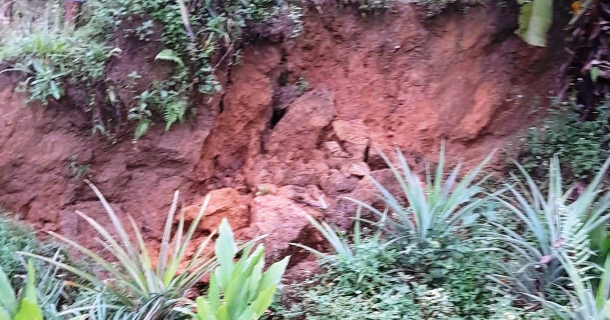 Đà Nẵng: Sườn đồi nứt toác kéo dài 500 m, đe dọa 60 hộ dân