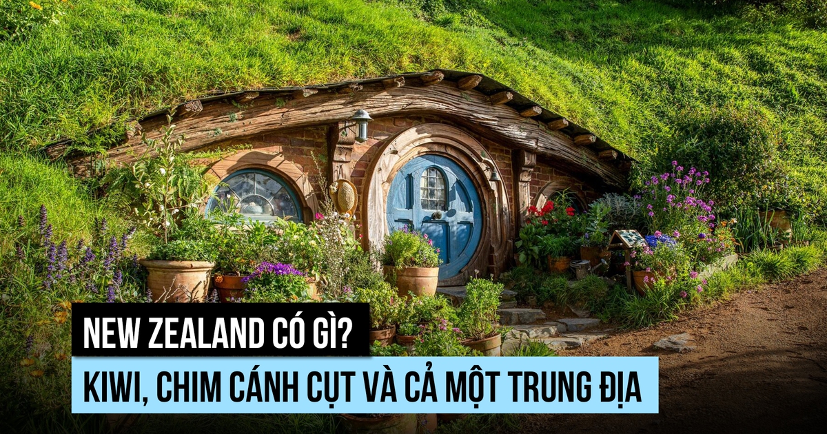 New Zealand có gì? Kiwi, chim cánh cụt và cả một Trung Địa