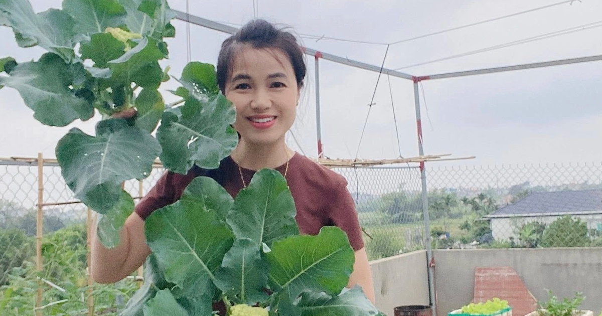 Khu vườn 'mùa nào thức ấy' trên sân thượng của người phụ nữ Hưng Yên