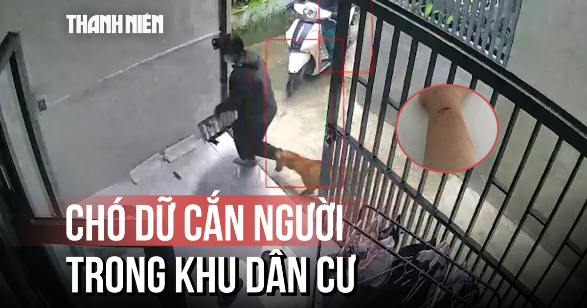 Nỗi ám ảnh chó dữ thả rông liên tục cắn người tại TP.HCM