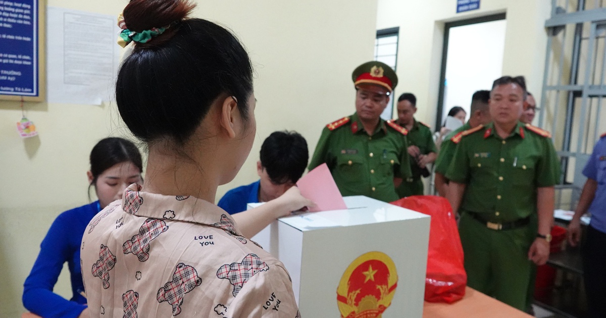 TP.HCM: Phường Xuân Hòa tổ chức bỏ phiếu bầu cử trong trại tạm giam