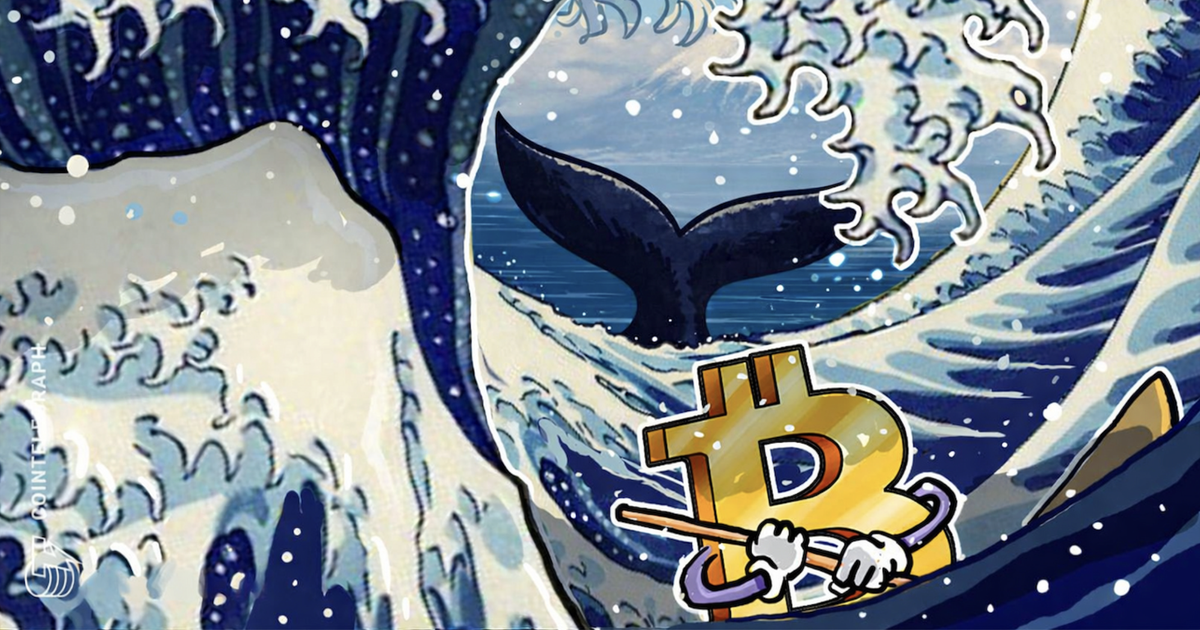 Giá Bitcoin hôm nay 16.3.2026: Tiếp tục tăng khi 'cá voi' trở lại