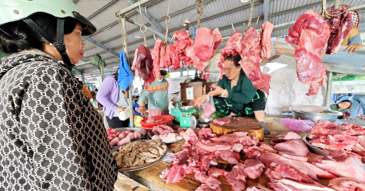 Giá heo hơi hôm nay 16.3.2026: Đà giảm tạm ngừng