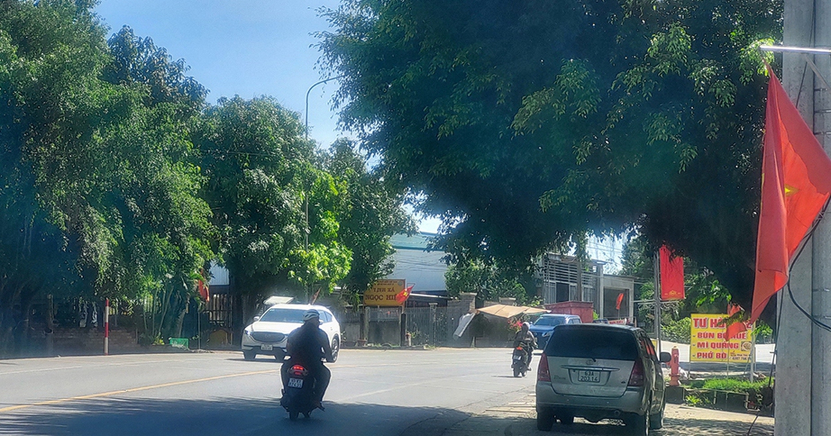 Tàn cây che tầm nhìn trên quốc lộ