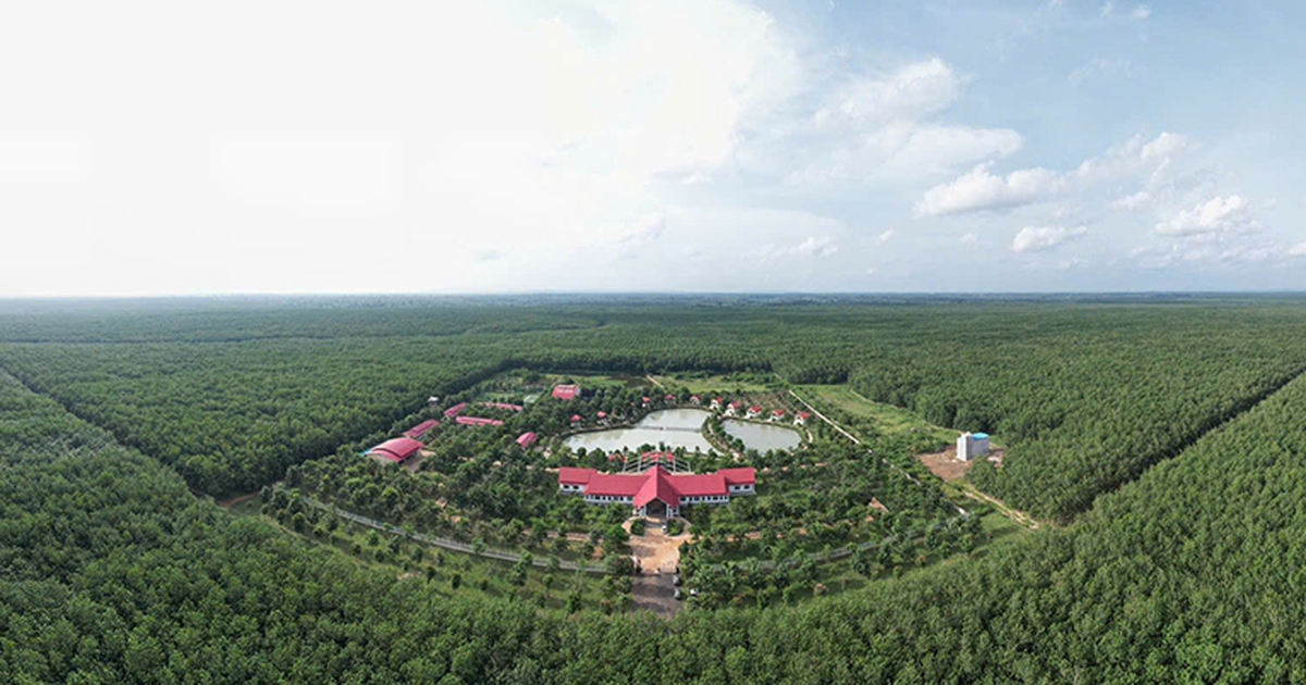 VRG phát động cuộc thi ảnh, video "Sắc màu ngành cao su Việt Nam"