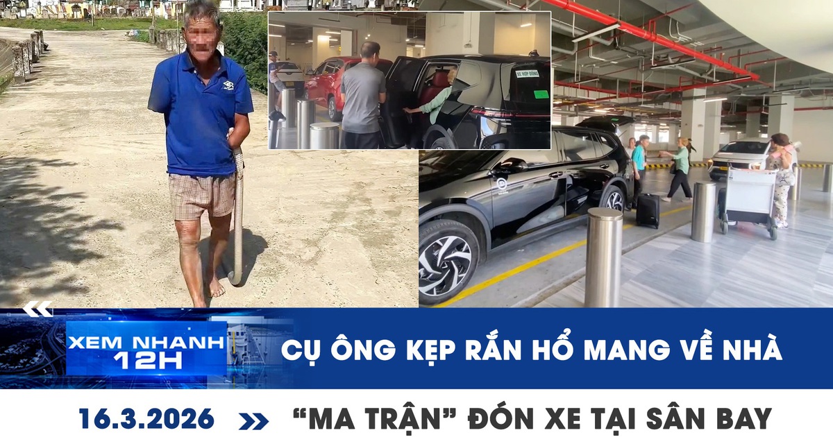 Xem nhanh 12h: Bị rắn cắn kẹp luôn rắn về nhà | Tiếp diễn 'ma trận' đón xe tại sân bay TSN
