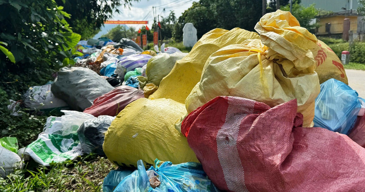 Hàng nghìn tấn rác tồn đọng, 4 xã ở Đà Nẵng đồng loạt "kêu cứu"