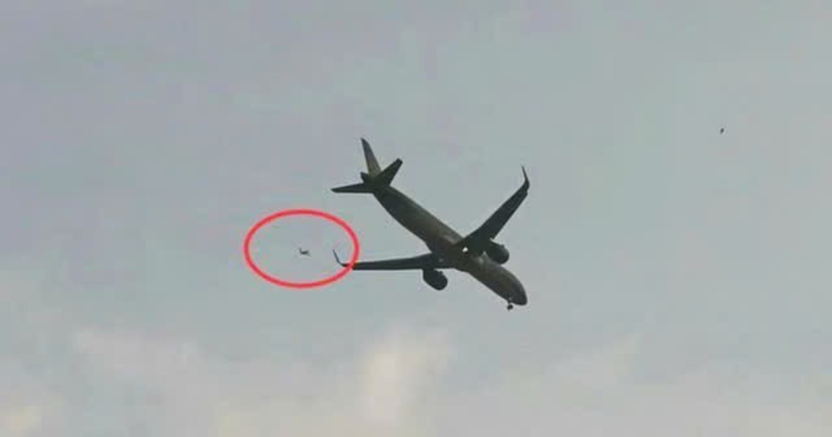 Diều s&aacute;o uy hiếp an to&agrave;n s&acirc;n bay C&aacute;t Bi