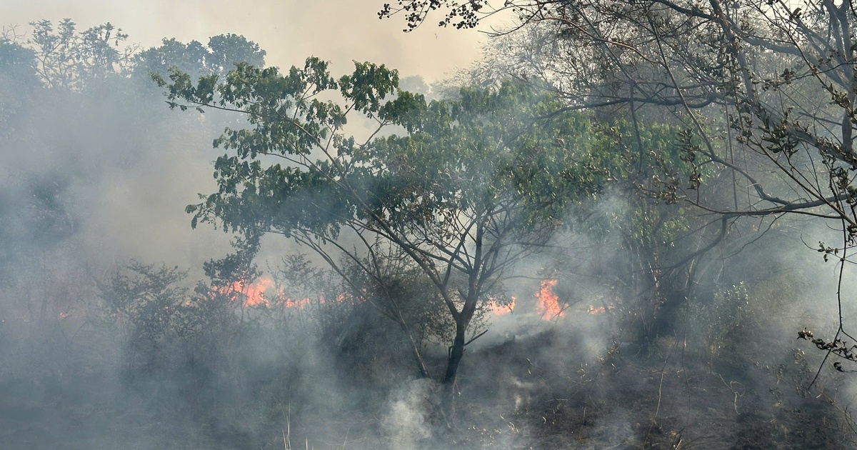 Truy tìm người đốt rác gây cháy ở TP.HCM