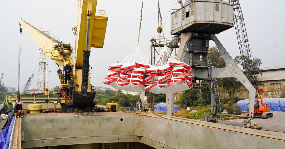 Giá phân bón tăng vì nguồn cung bị ảnh hưởng