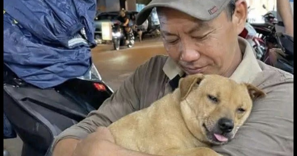 Tìm chó cưng tên Nọng suốt 1 tháng: Cộng đồng mạng dõi theo cái kết