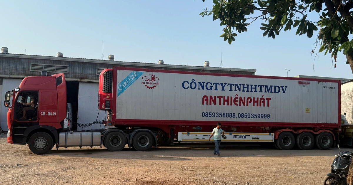 Xe đầu kéo, ô tô khách vẫn chạy khi bị tước phù hiệu: CSGT TP.HCM xử lý