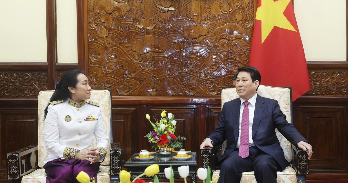 Chủ tịch nước Lương Cường tiếp đại sứ các nước trình quốc thư