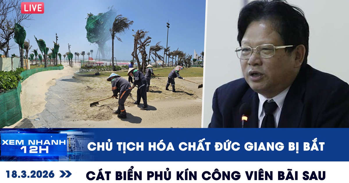 Xem nhanh 12h: Lý do Chủ tịch Hóa chất Đức Giang bị bắt | Cát biển phủ kín công viên Bãi Sau
