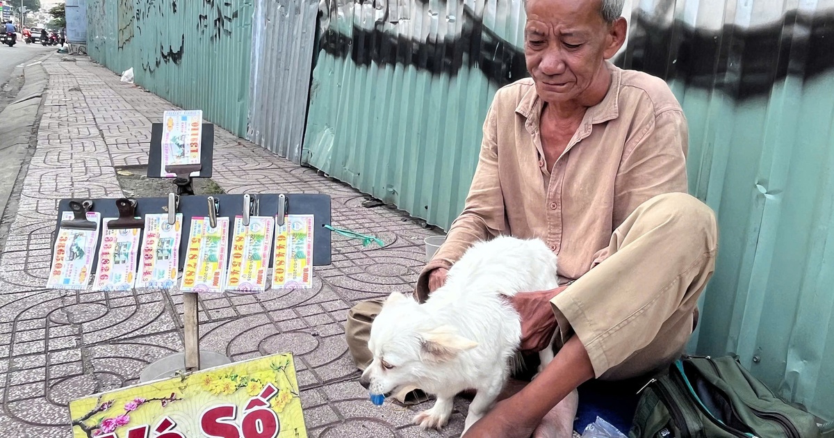 V&ograve;ng xo&aacute;y v&eacute; số 'mua đứt b&aacute;n đoạn': Người thợ hồ 'g&atilde;y c&aacute;nh' v&agrave; ch&uacute; ch&oacute; nhỏ