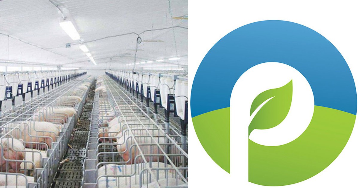 Công ty CP Procimex Việt Nam: Cải tiến công nghệ, nâng cao chất lượng dịch vụ